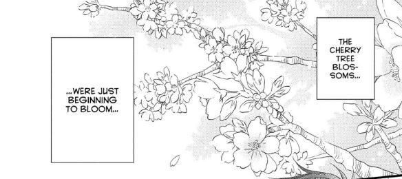 Why Cherry Blossoms (Sakura) have such a big role in Manga and anime