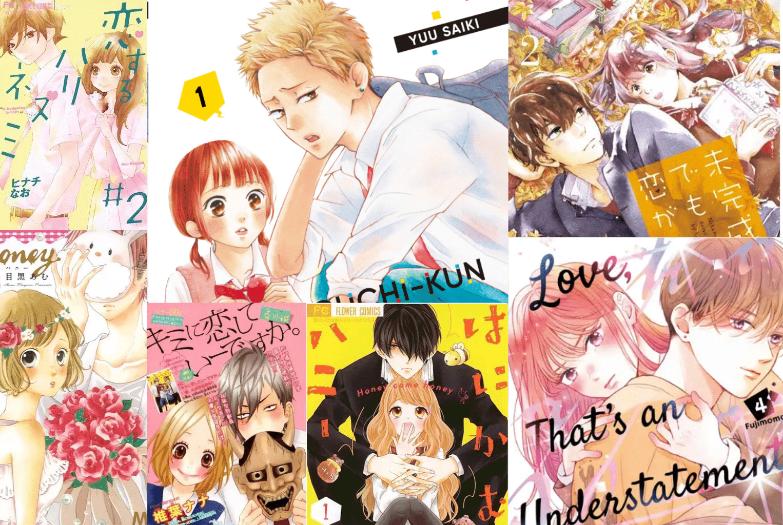 Shoujo Manga with delinquent ML