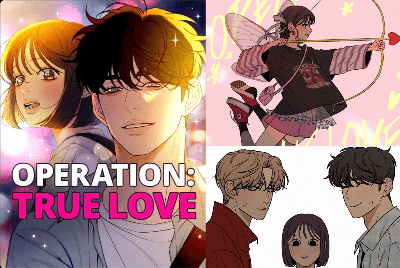 “Operation True Love” isn’t finished – but is it still worth reading?
